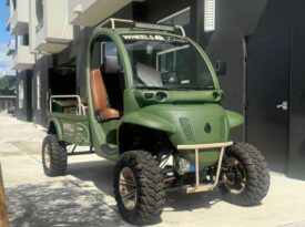 2011 GEM GOLF CART