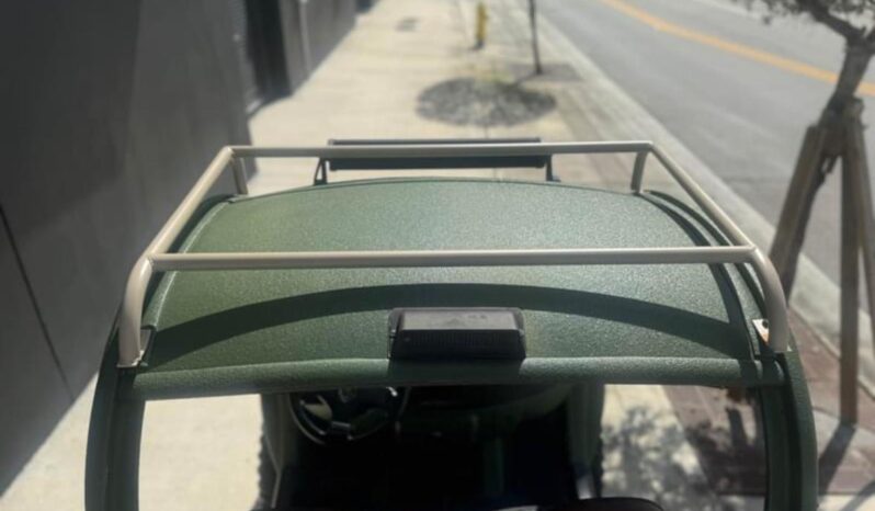 2011 GEM GOLF CART full