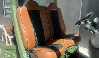 2011 GEM GOLF CART full