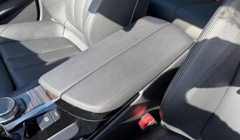 2019 BMW 5 Series 530e iPerformance full