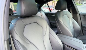 2019 BMW 5 Series 530e iPerformance full