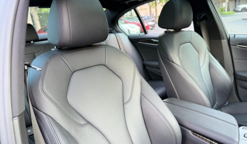 2019 BMW 5 Series 530e iPerformance full