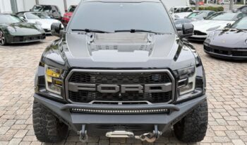 2019 Ford F-150 Raptor full