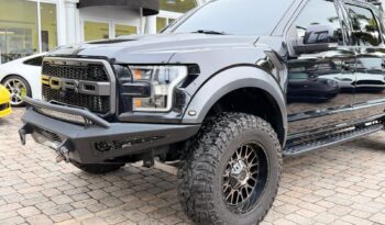 2019 Ford F-150 Raptor full