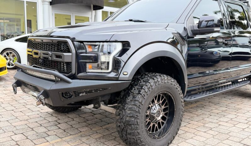 2019 Ford F-150 Raptor full