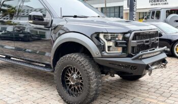 2019 Ford F-150 Raptor full