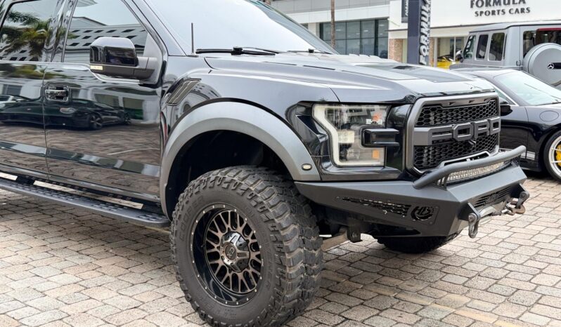 2019 Ford F-150 Raptor full