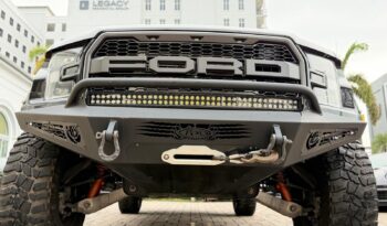 2019 Ford F-150 Raptor full