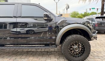 2019 Ford F-150 Raptor full