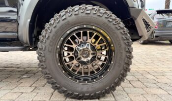 2019 Ford F-150 Raptor full