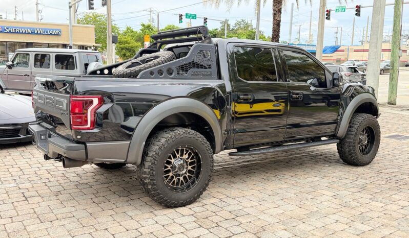 2019 Ford F-150 Raptor full