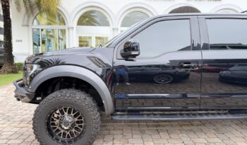 2019 Ford F-150 Raptor full