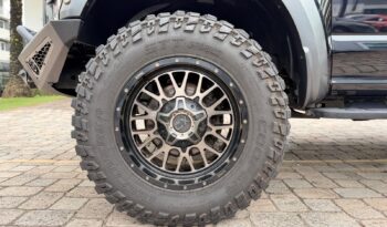 2019 Ford F-150 Raptor full