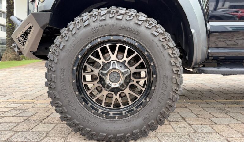 2019 Ford F-150 Raptor full