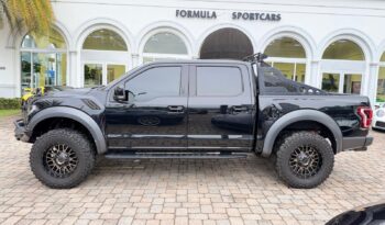 2019 Ford F-150 Raptor full