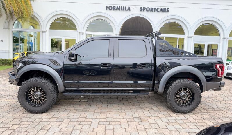 2019 Ford F-150 Raptor full