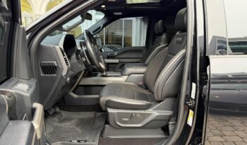 2019 Ford F-150 Raptor full