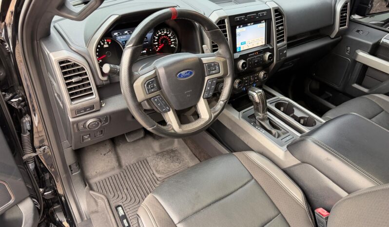 2019 Ford F-150 Raptor full