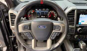 2019 Ford F-150 Raptor full