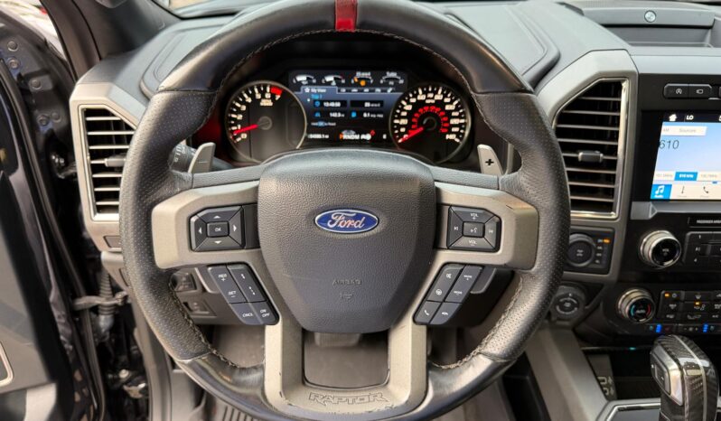 2019 Ford F-150 Raptor full