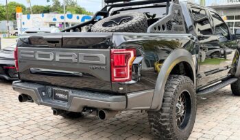 2019 Ford F-150 Raptor full