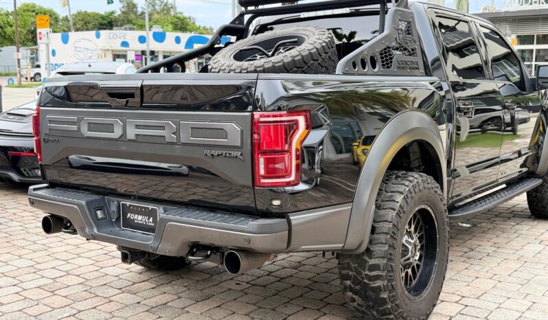2019 Ford F-150 Raptor full