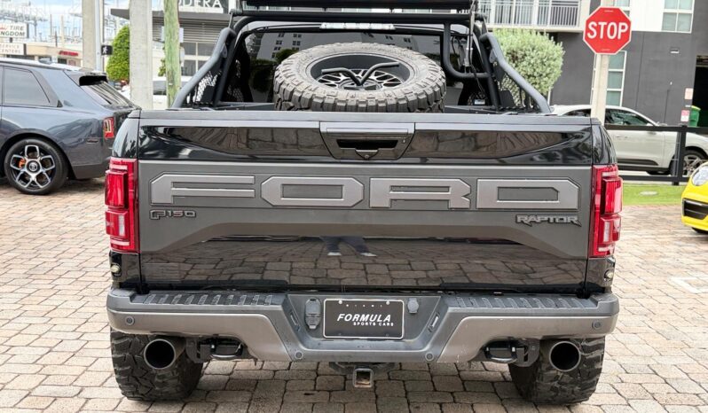 2019 Ford F-150 Raptor full