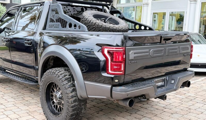 2019 Ford F-150 Raptor full