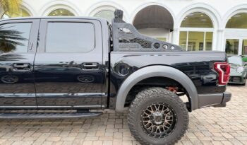 2019 Ford F-150 Raptor full
