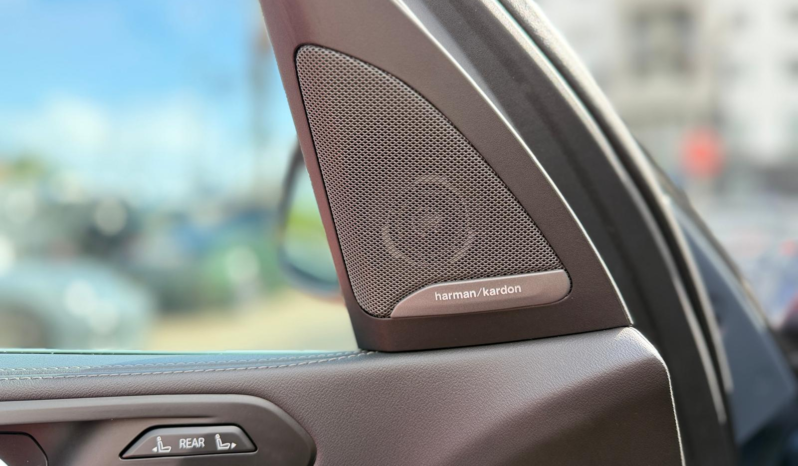 2023 BMW X7 xDrive40i full